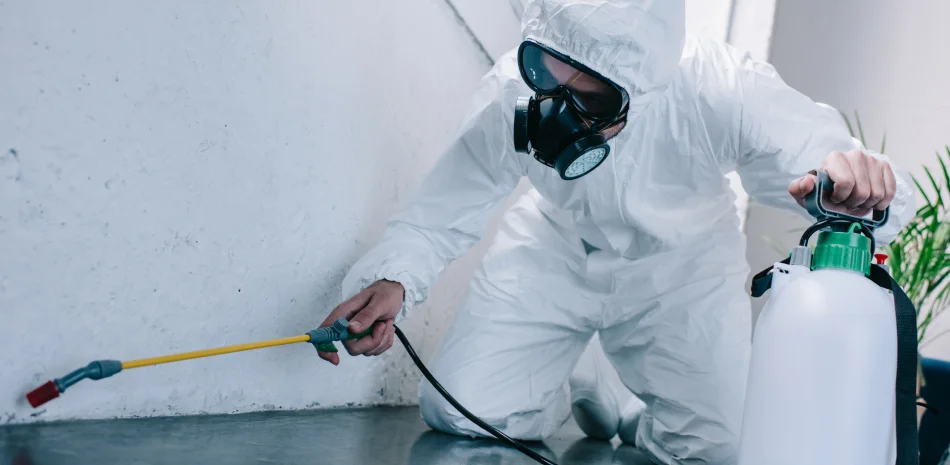 Indoor Pest Control Indoor Pest Control