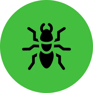 icon 7